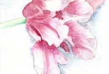 Aquarelle n°10 - "Tulipe panachée"