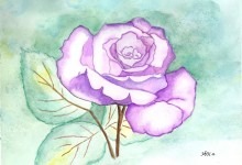 Aquarelle n°18: "Rose Solo"
